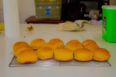 IMG_0565-scaled